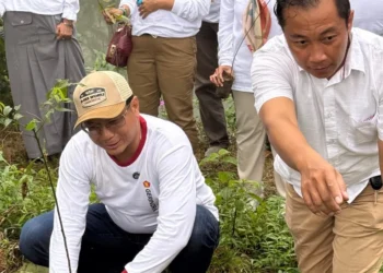 Harga Mati Kembalikan Fungsi Hutan, Wakil Ketua DPRD Rudi Indrayani Penanaman Pohon
